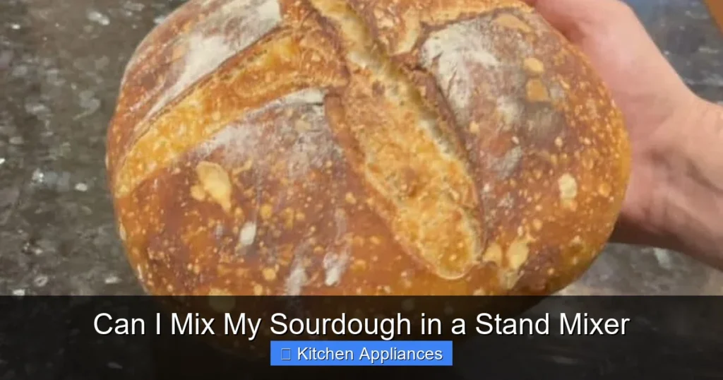 Can I Mix My Sourdough in a Stand Mixer Can I Mix My Sourdough in a Stand Mixer