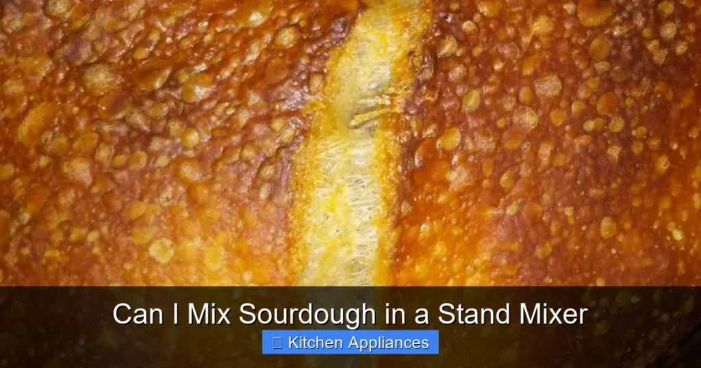 Can I Mix Sourdough in a Stand Mixer Can I Mix Sourdough in a Stand Mixer