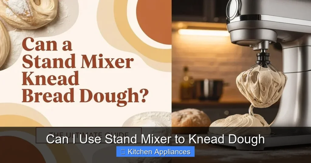 Can I Use Stand Mixer to Knead Dough Can I Use Stand Mixer to Knead Dough