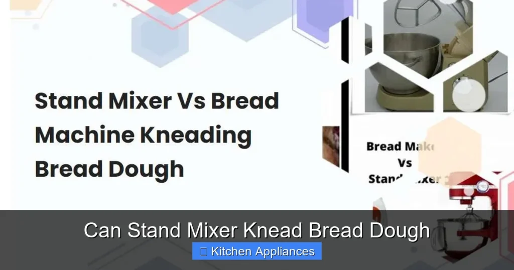 Can Stand Mixer Knead Bread Dough