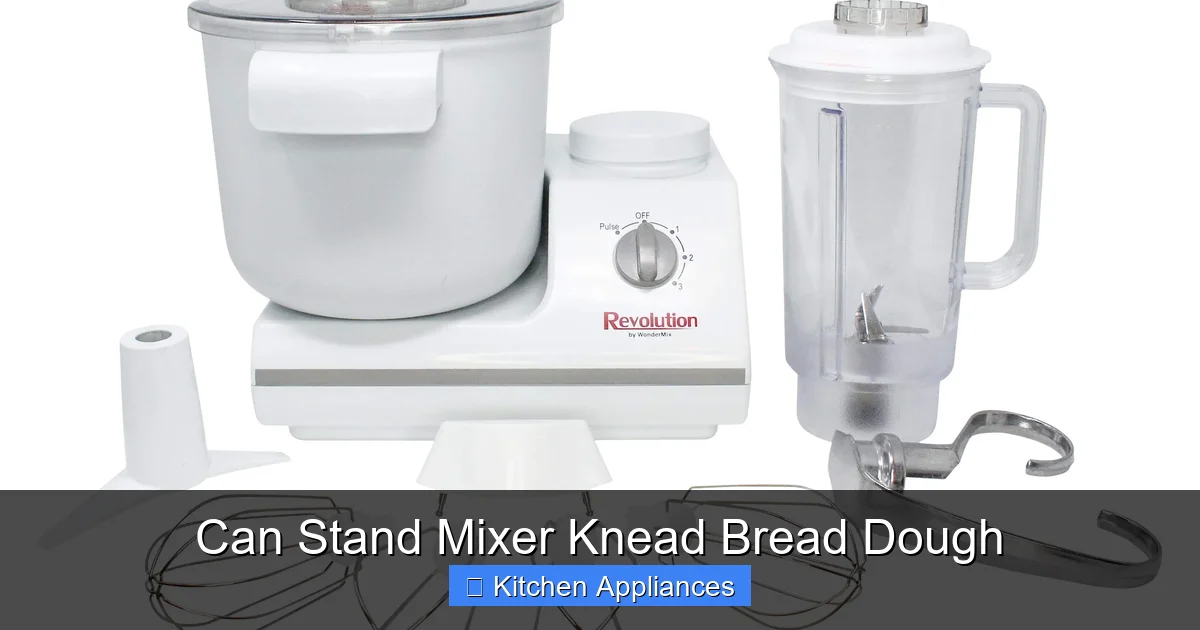 Can Stand Mixer Knead Bread Dough