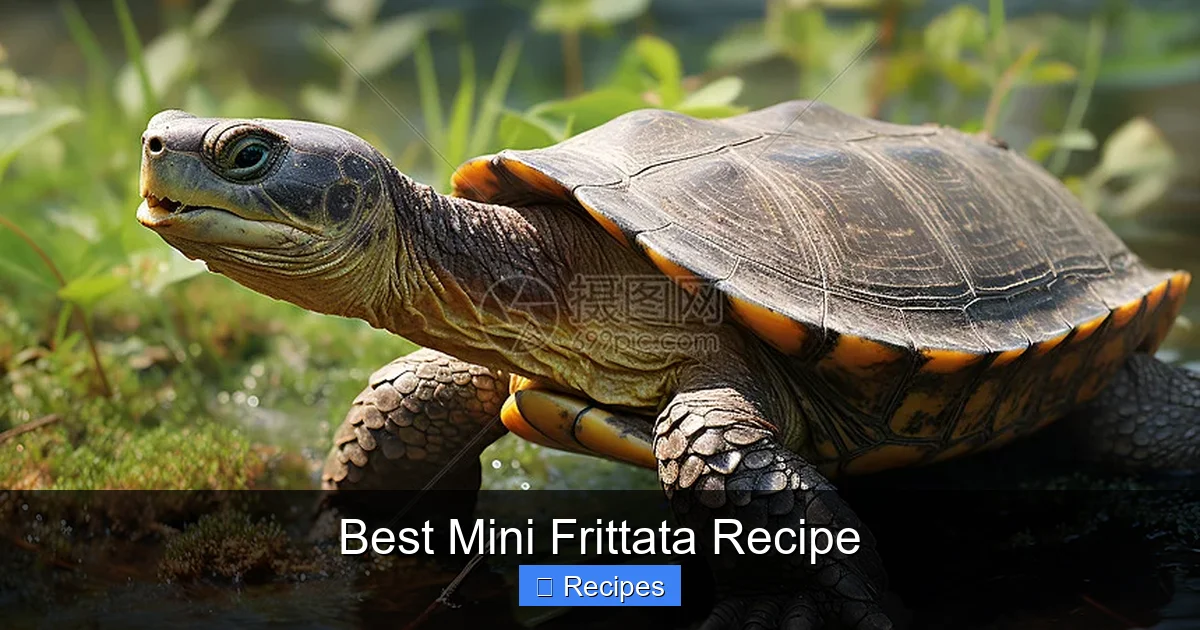 Best Mini Frittata Recipe