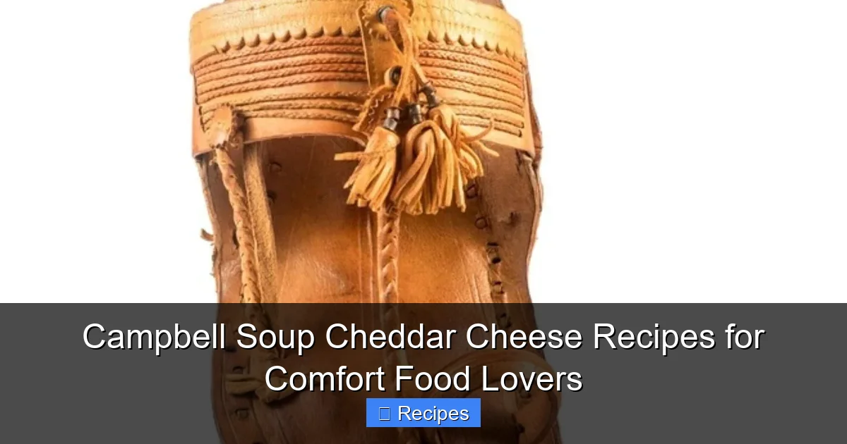 Campbell Soup Cheddar Cheese Recipes for Comfort Food Lovers