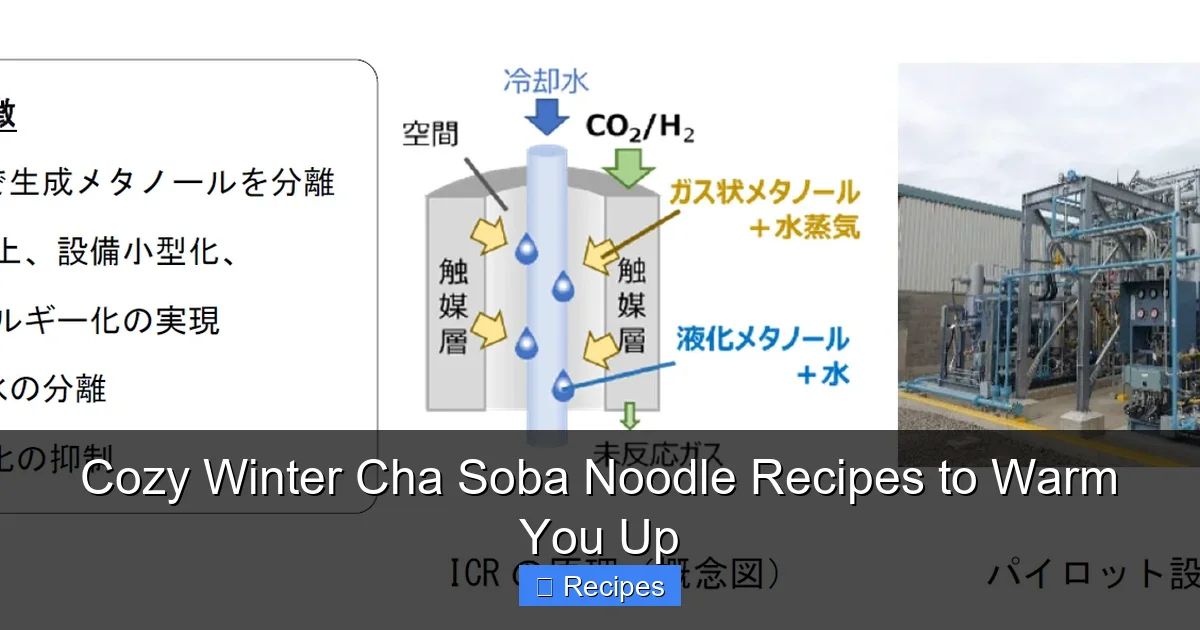 Cozy Winter Cha Soba Noodle Recipes to Warm You Up