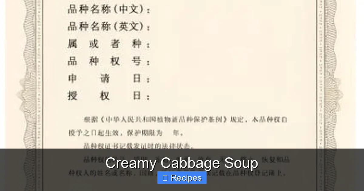 Creamy Cabbage Soup