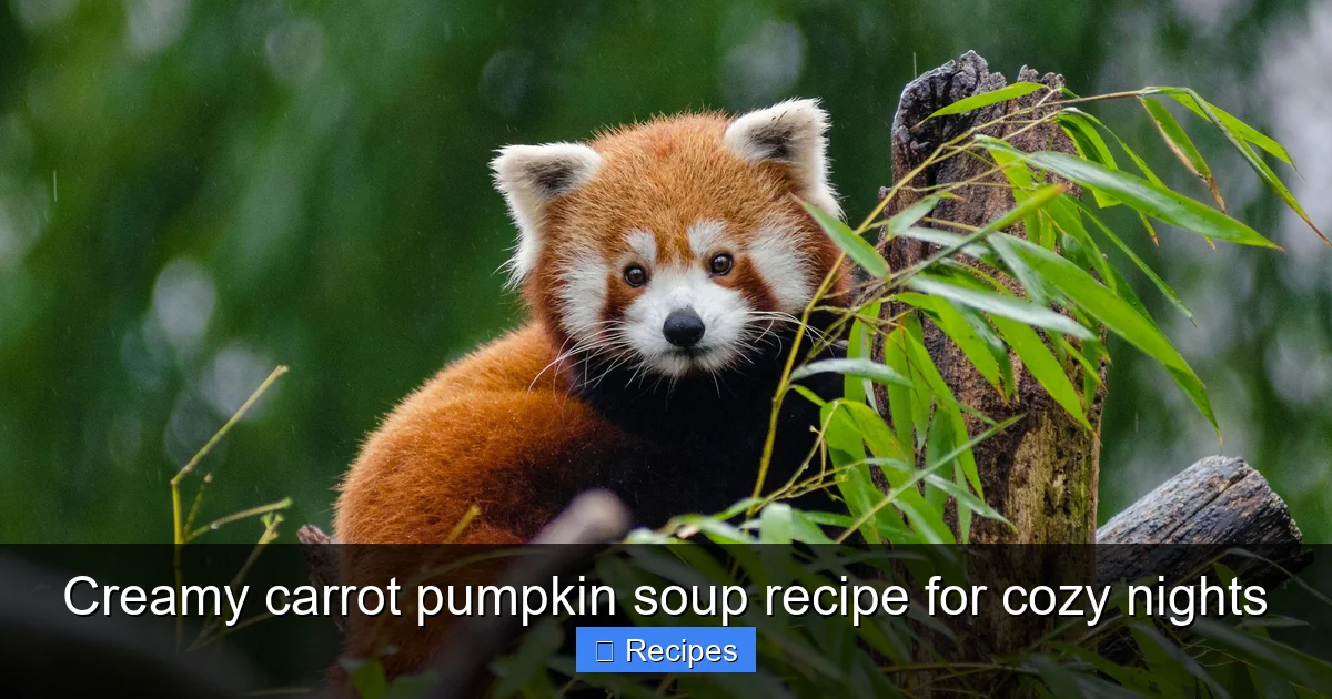 Creamy carrot pumpkin soup recipe for cozy nights