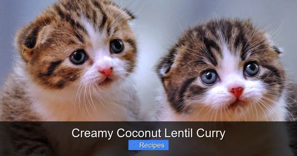 Creamy Coconut Lentil Curry
