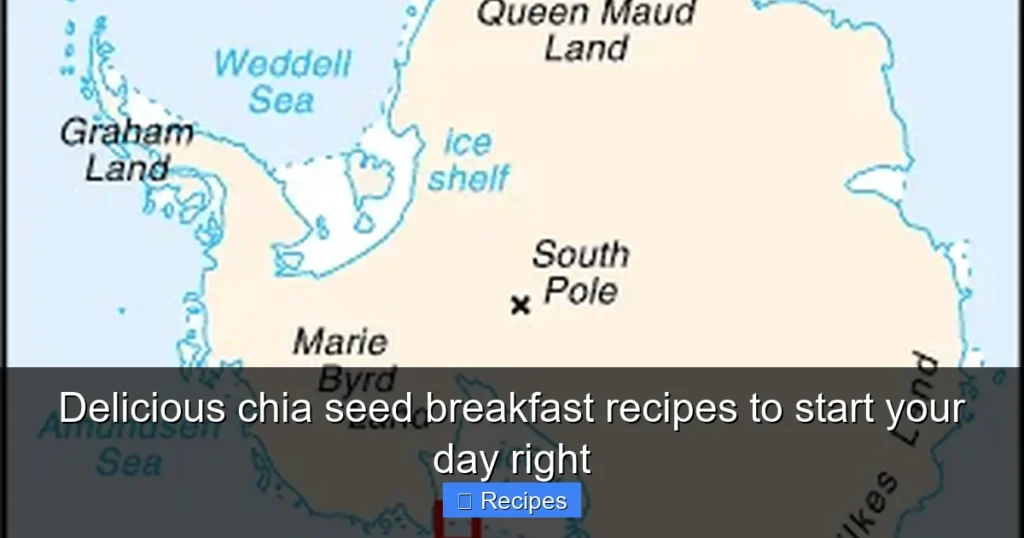 Delicious chia seed breakfast recipes to start your day right