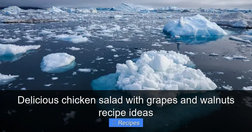 Delicious chicken salad with grapes and walnuts recipe ideas