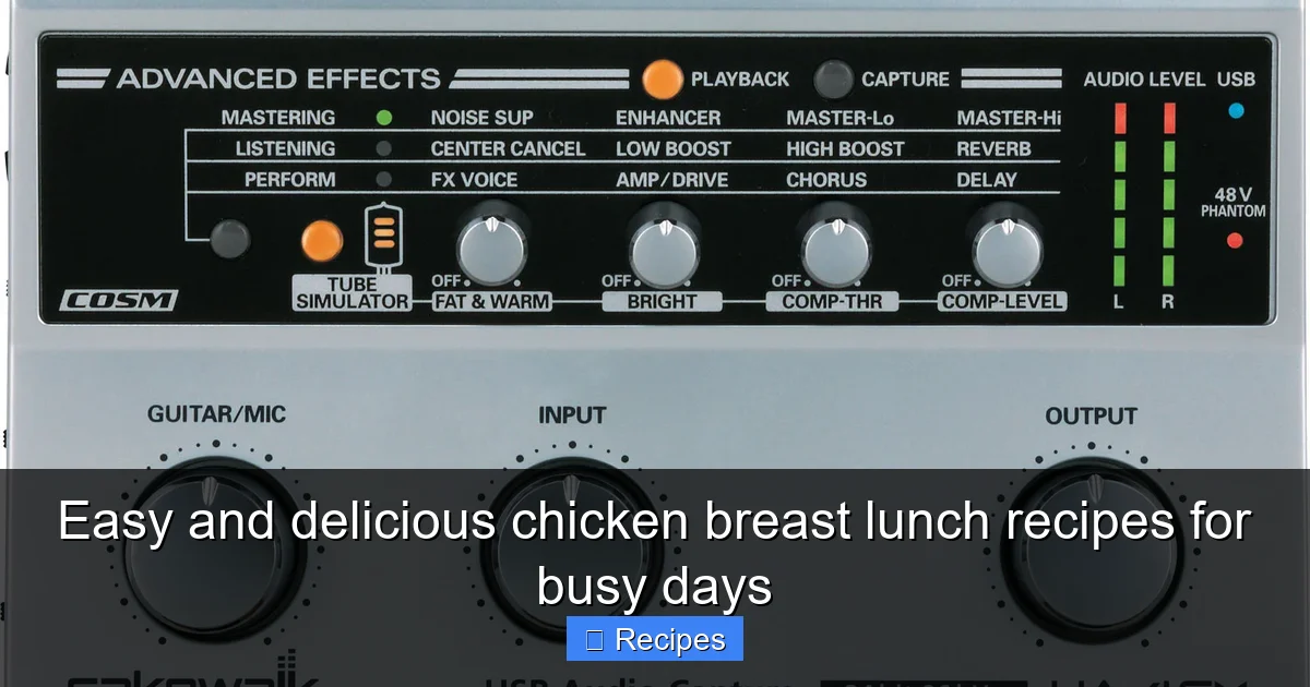 Easy and delicious chicken breast lunch recipes for busy days