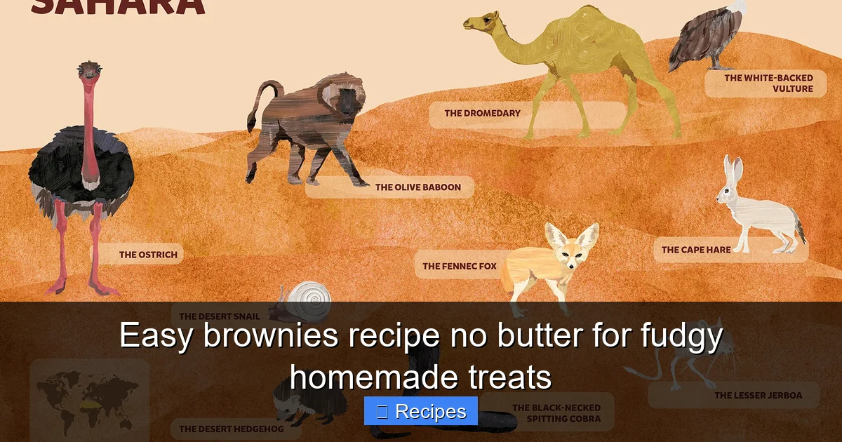 Easy brownies recipe no butter for fudgy homemade treats