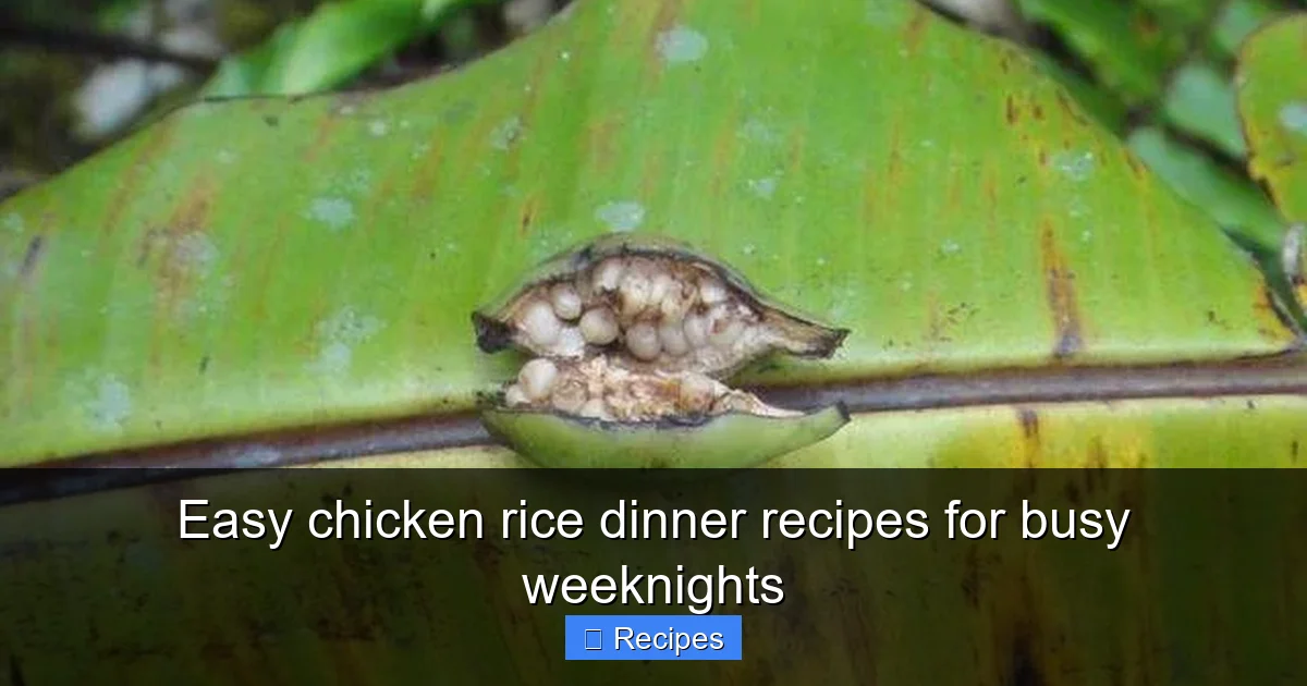 Easy chicken rice dinner recipes for busy weeknights