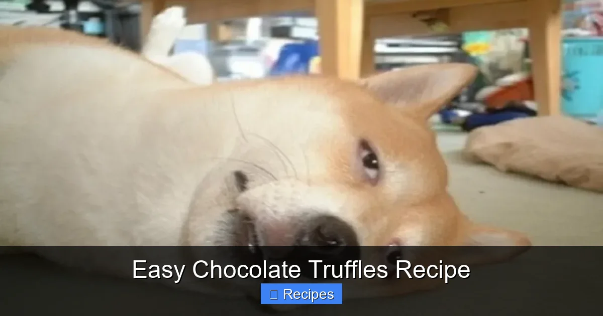 Easy Chocolate Truffles Recipe