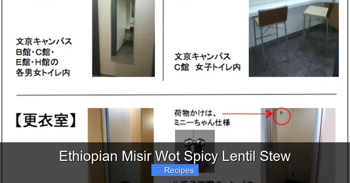Ethiopian Misir Wot Spicy Lentil Stew
