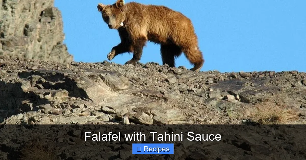 Falafel with Tahini Sauce