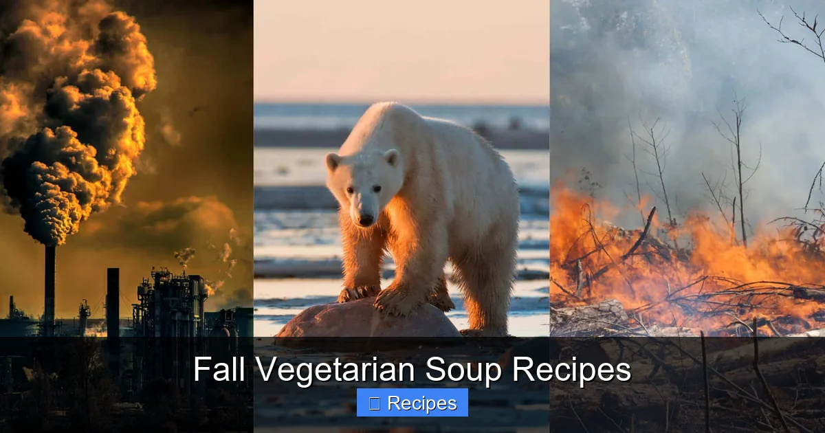 Fall Vegetarian Soup Recipes