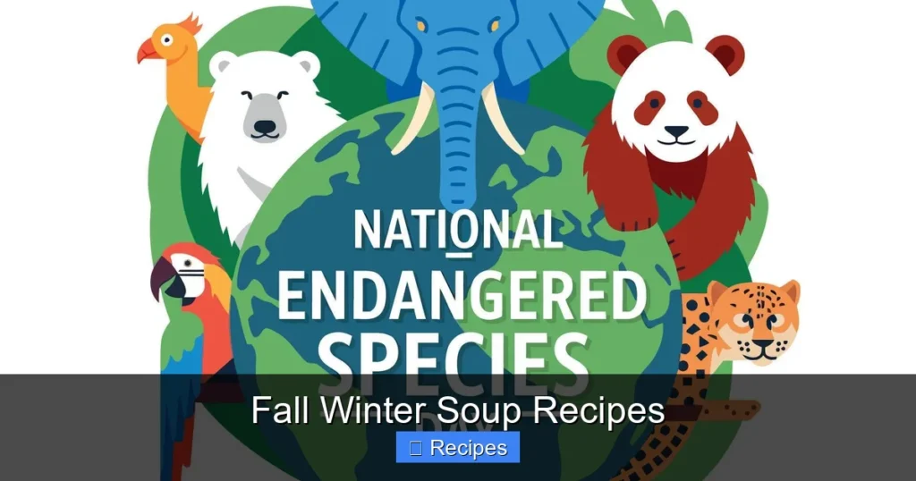Fall Winter Soup Recipes