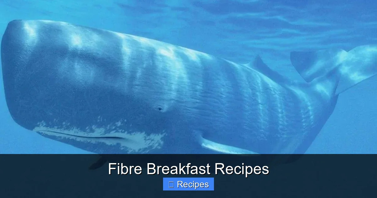 Fibre Breakfast Recipes
