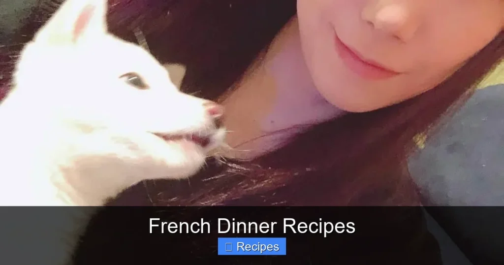 French Dinner Recipes
