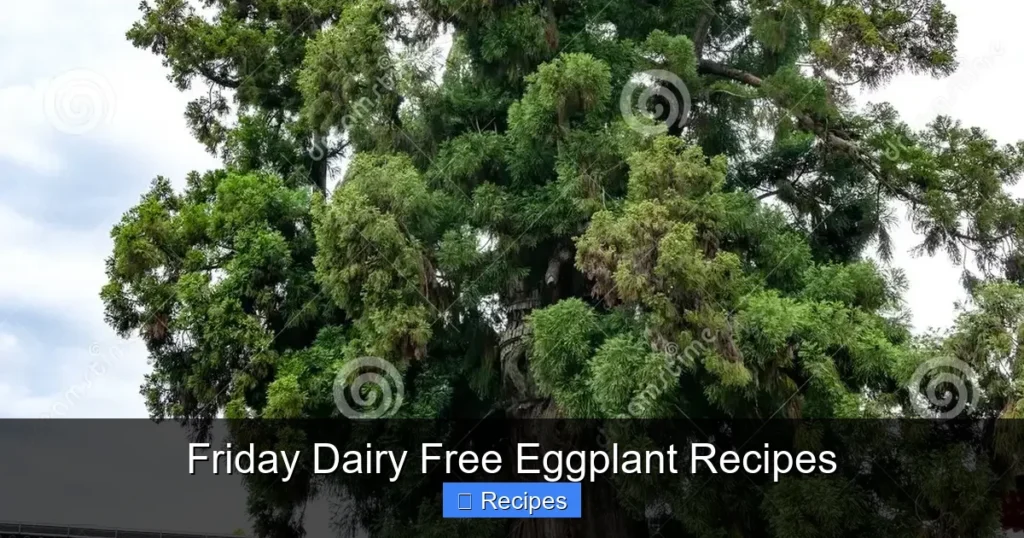 Friday Dairy Free Eggplant Recipes