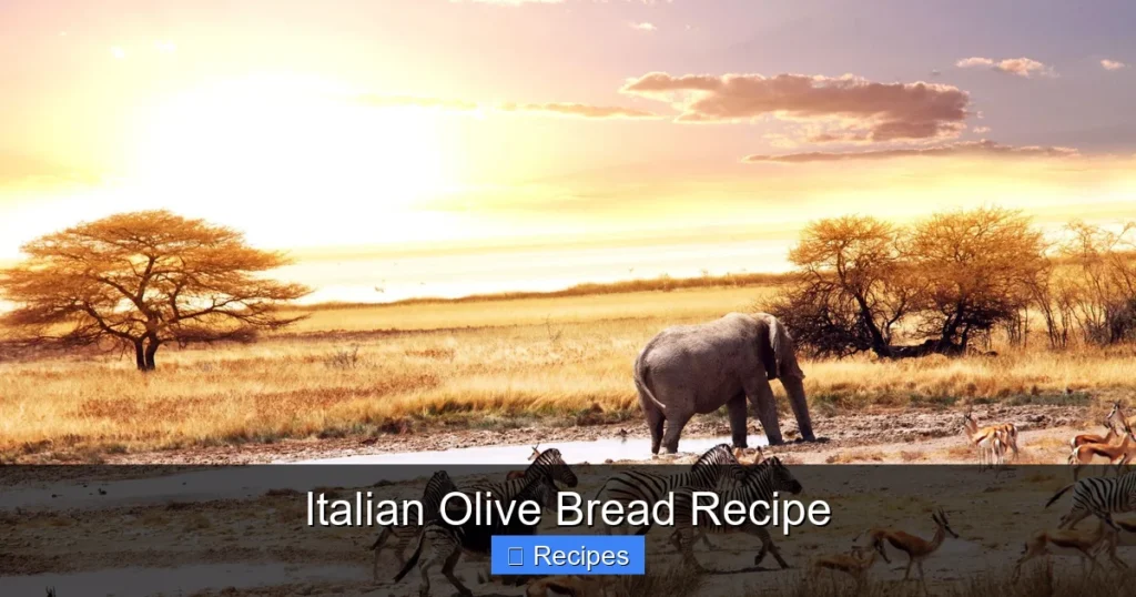 Italian Olive Bread Recipe Italian Olive Bread Recipe