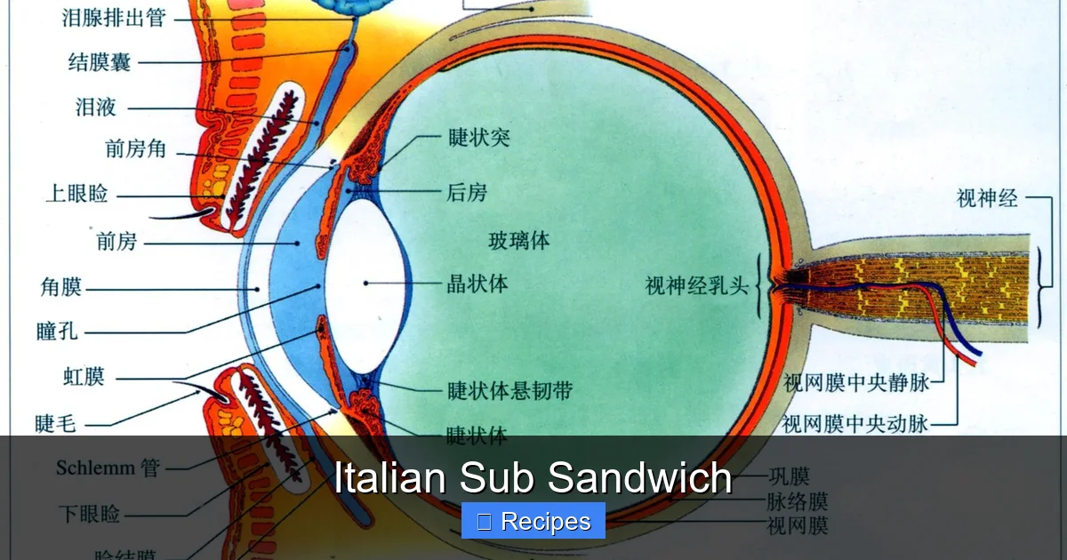 Italian Sub Sandwich