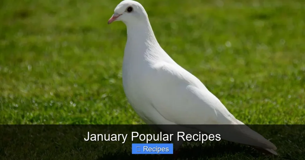 January Popular Recipes