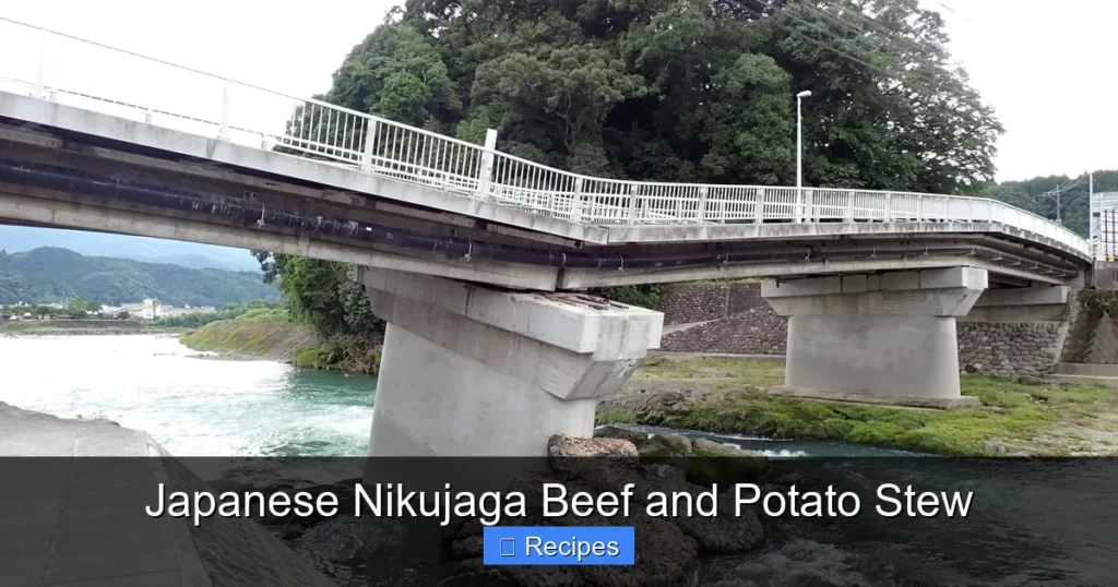 Japanese Nikujaga Beef and Potato Stew
