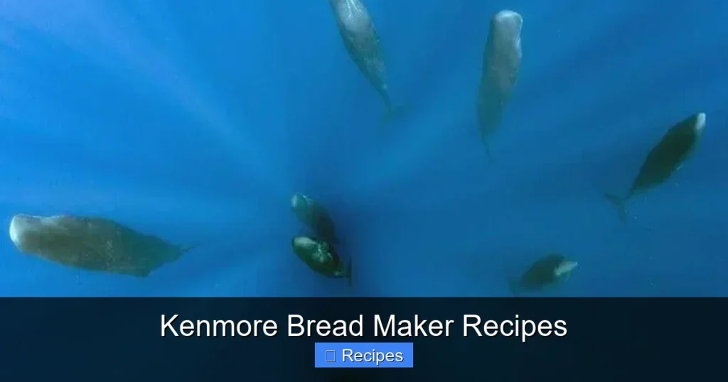Kenmore Bread Maker Recipes