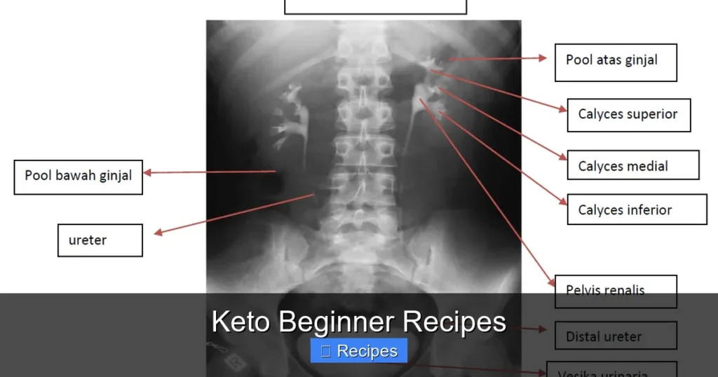 Keto Beginner Recipes