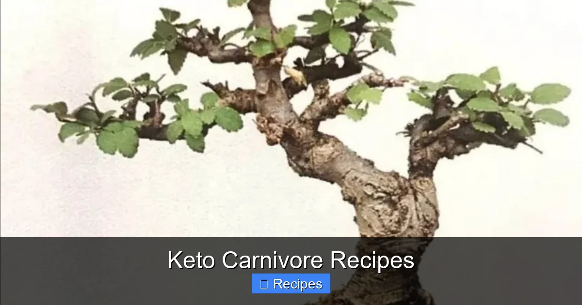 Keto Carnivore Recipes