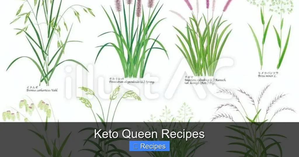 Keto Queen Recipes