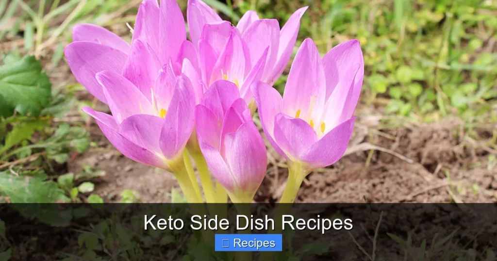 Keto Side Dish Recipes