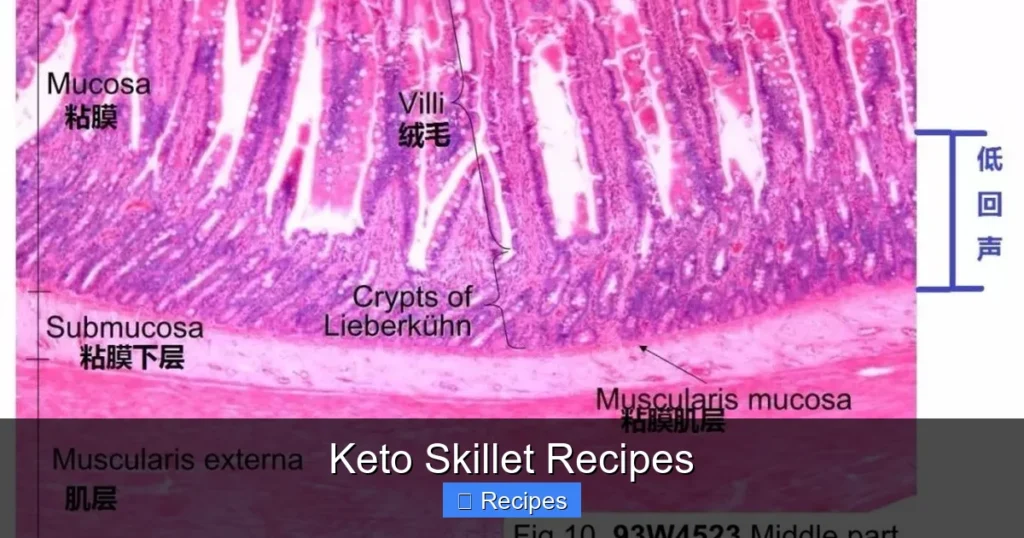 Keto Skillet Recipes