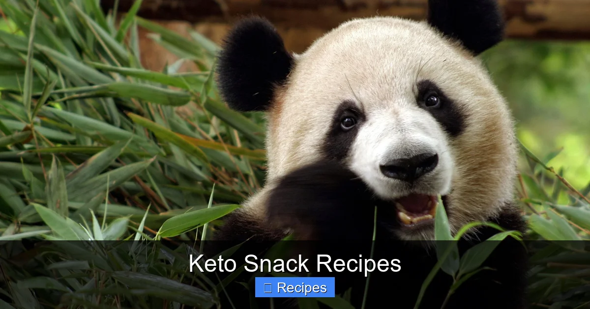 Keto Snack Recipes