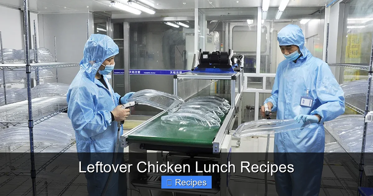 Leftover Chicken Lunch Recipes