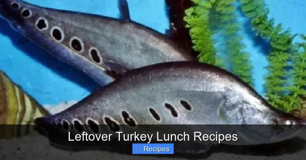 Leftover Turkey Lunch Recipes