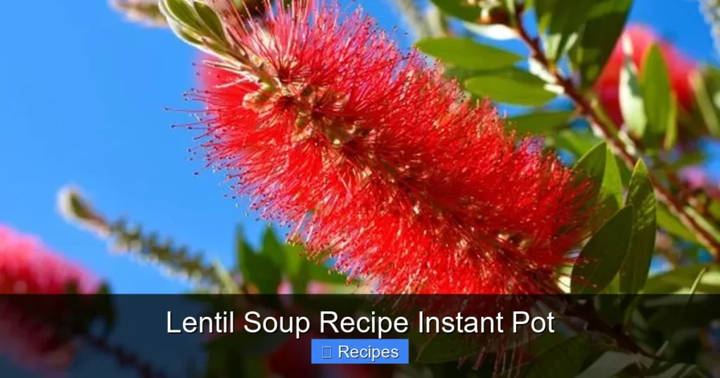 Lentil Soup Recipe Instant Pot