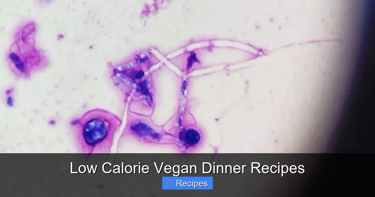Low Calorie Vegan Dinner Recipes