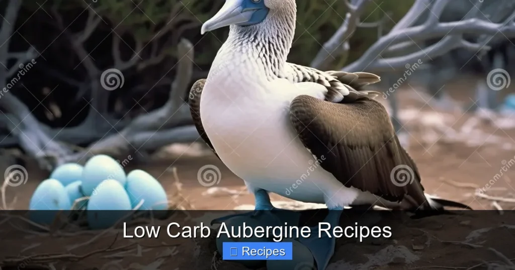 Low Carb Aubergine Recipes Low Carb Aubergine Recipes