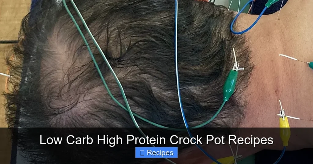 Low Carb High Protein Crock Pot Recipes