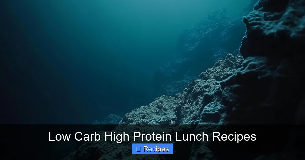 Low Carb High Protein Lunch Recipes