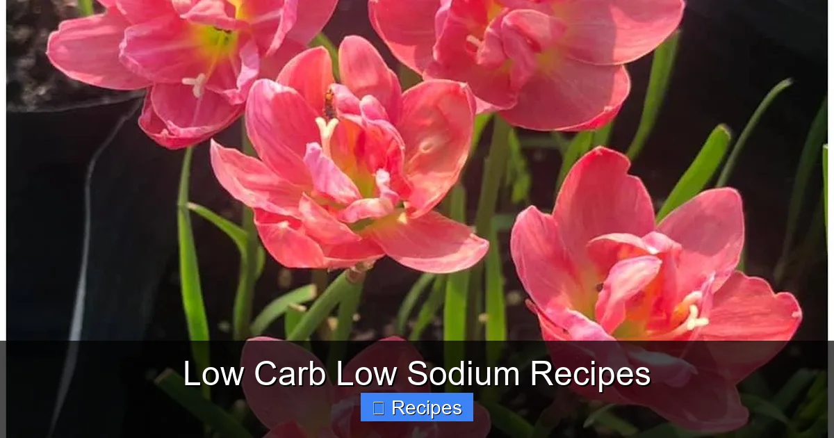 Low Carb Low Sodium Recipes