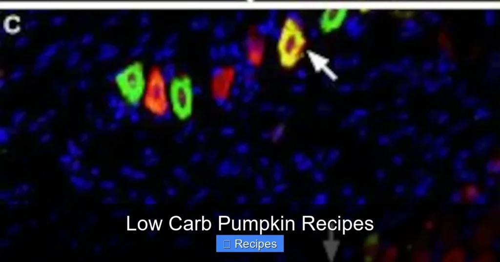 Low Carb Pumpkin Recipes