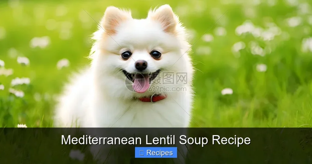 Mediterranean Lentil Soup Recipe Mediterranean Lentil Soup Recipe