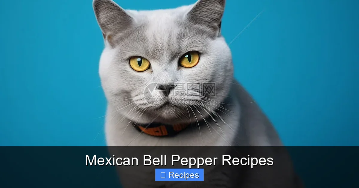 Mexican Bell Pepper Recipes
