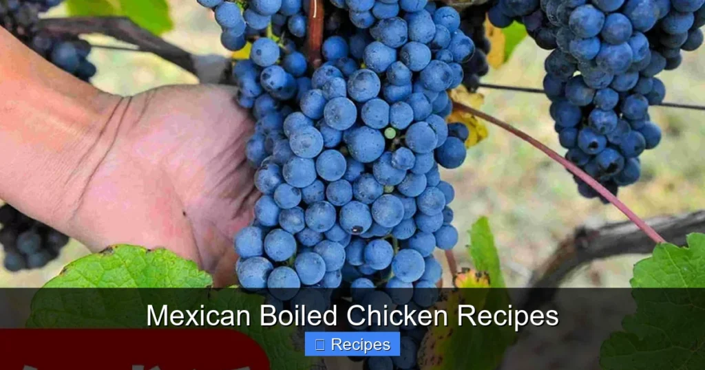 Mexican Boiled Chicken Recipes