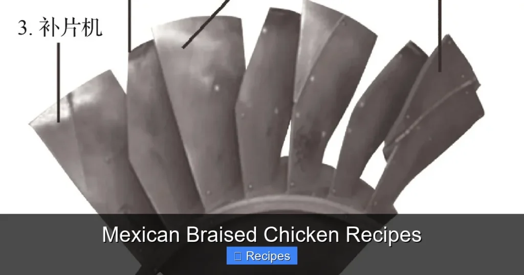 Mexican Braised Chicken Recipes