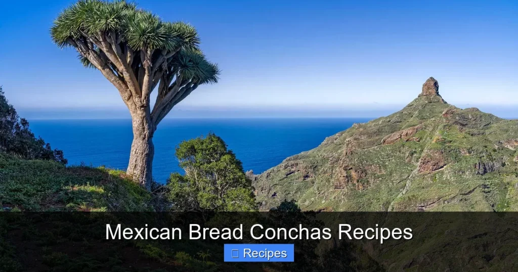 Mexican Bread Conchas Recipes Mexican Bread Conchas Recipes