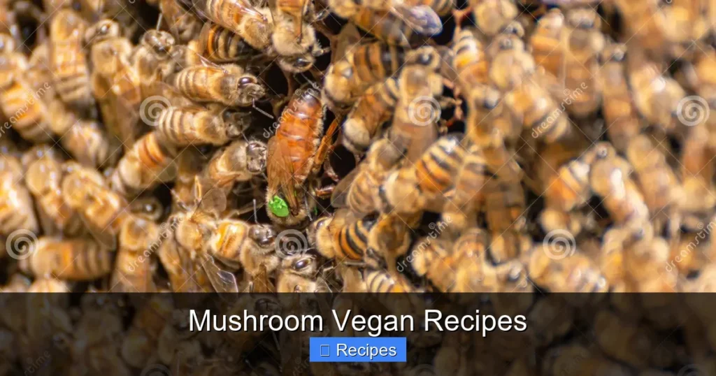 Mushroom Vegan Recipes Mushroom Vegan Recipes